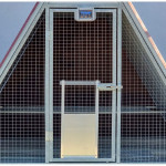 Automatic chicken coop Door