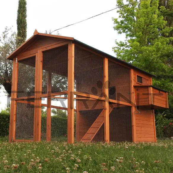 Pollaio in legno per 10 galline con accessori inclusi