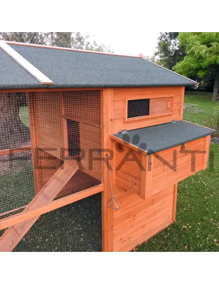 Wooden chicken coop for 10 hens with open window