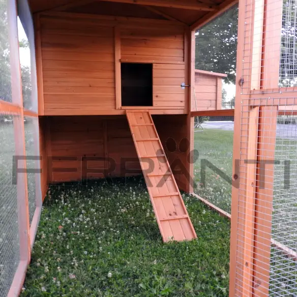 Interior of wooden chicken coop with ladder for 10 hens