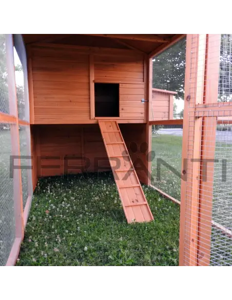 Interior of wooden chicken coop with ladder for 10 hens