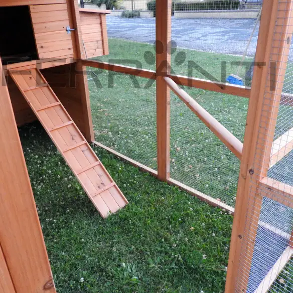 Interior of wooden chicken coop with ladder for 10 hens