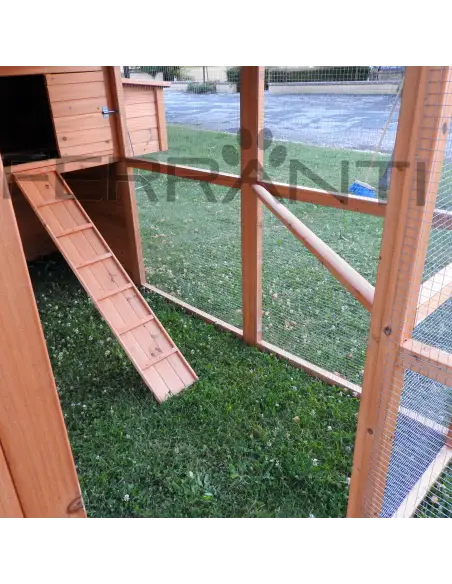 Interior of wooden chicken coop with ladder for 10 hens
