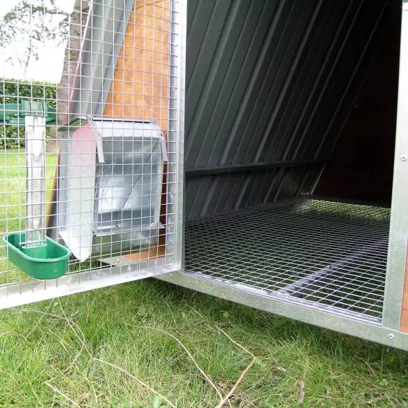 Ingresso e fondo rialzato del pollaio piccolo per 8 galline