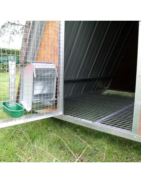 Entrance and raised floor of small chicken coop for 8 hens