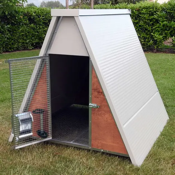 Interior of insulated chicken coop for 8 hens