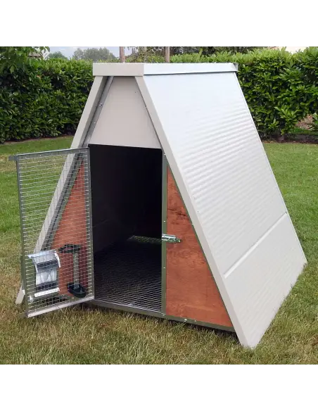 Interno del pollaio isolato per 8 galline