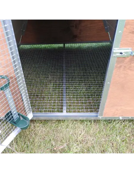 Interno del pollaio isolato per 8 galline
