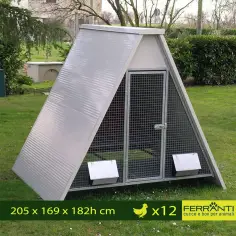 Pollaio coibentato rialzato per 12 o 20 galline con accessori 2