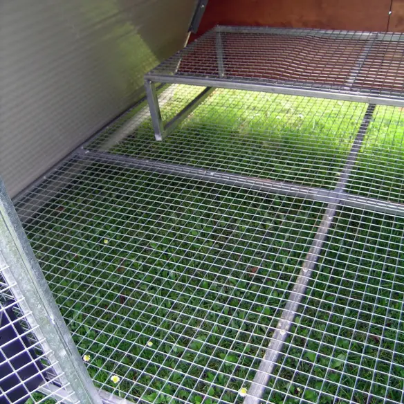 Interior of insulated raised chicken coop with perch