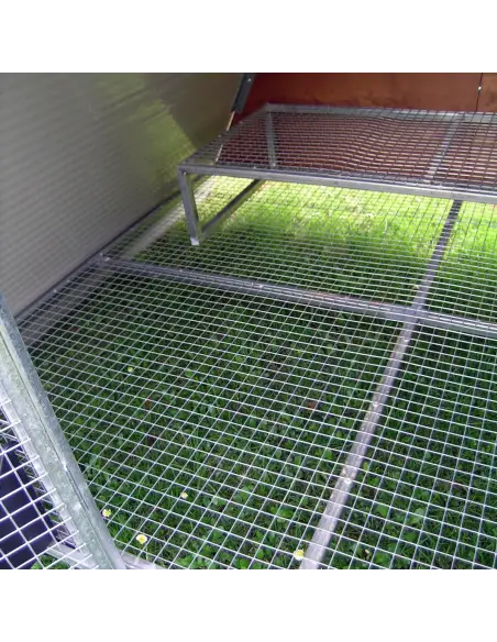 Interior of insulated raised chicken coop with perch