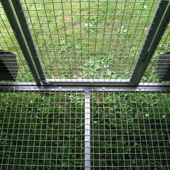 Raised mesh floor of insulated chicken coop for predator protection