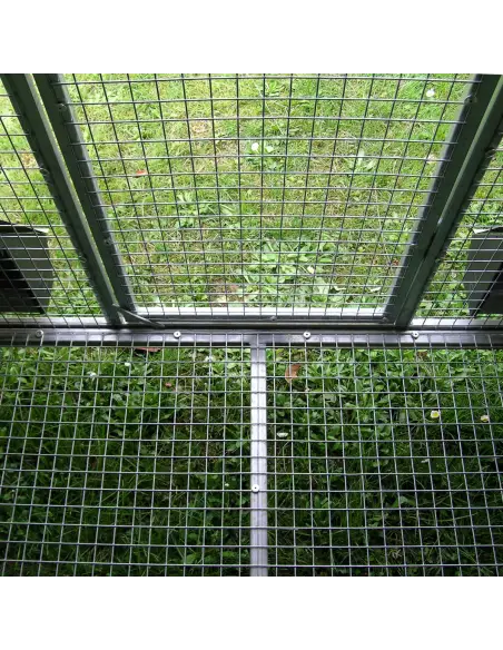 Fondo rialzato in rete del pollaio coibentato per protezione da predatori