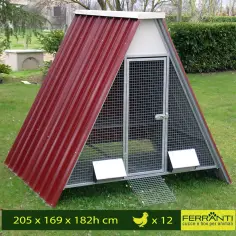 Pollaio rialzato per 12 o 20 galline con accessori 2