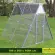 Chicken Pen and Run with Modular Mesh Panels