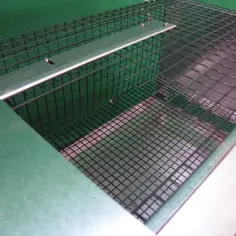 Quail cage for raising 2