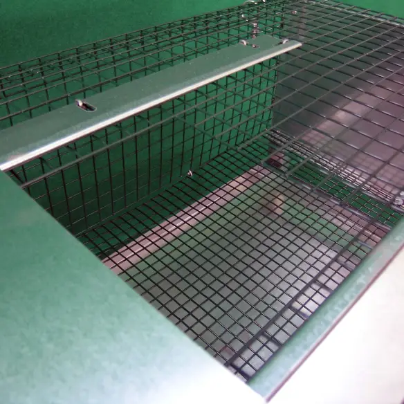 Top door of quail raising cage