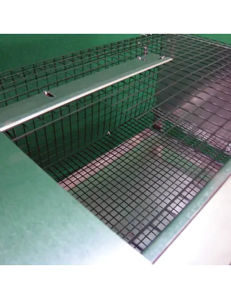 Top door of quail raising cage