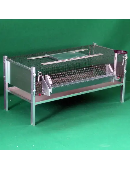 Quail cage for raising