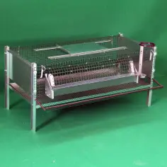Quail Cage for Laying