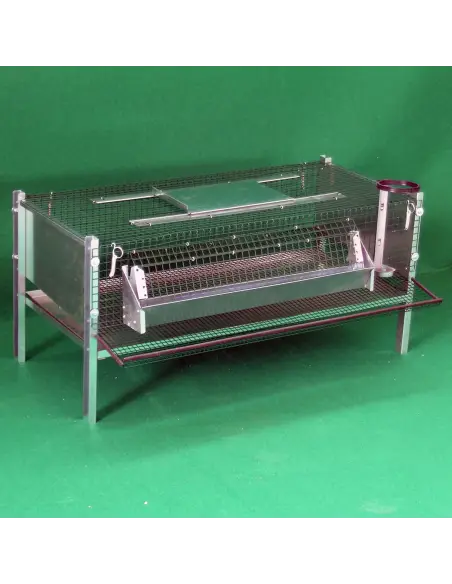 Quail cage for laying