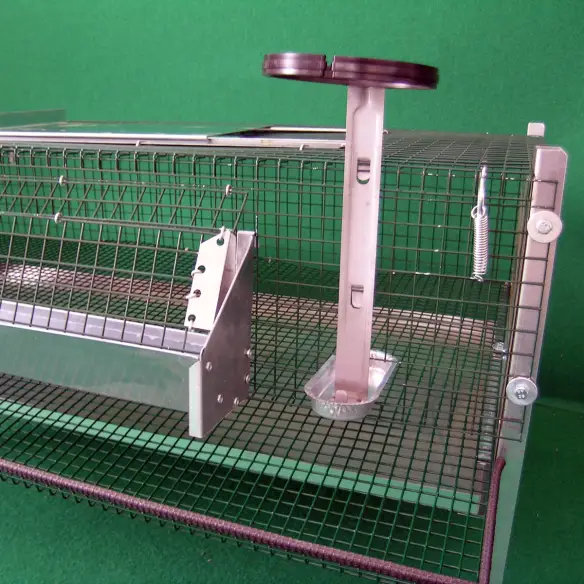 Feeder and drinker of quail laying cage