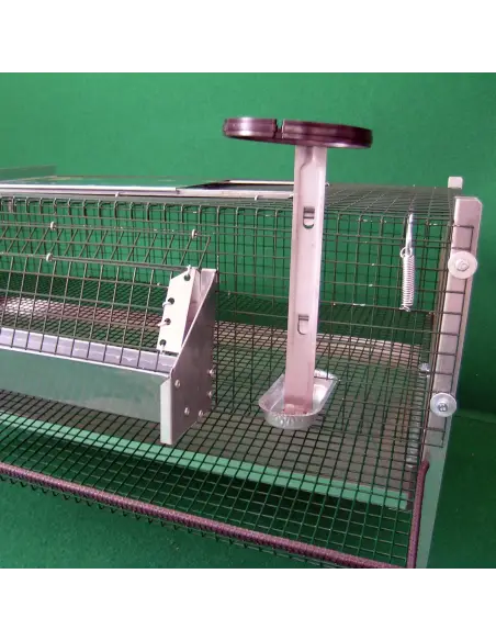 Feeder and drinker of quail laying cage
