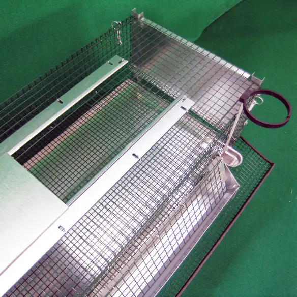 Top door of quail cage