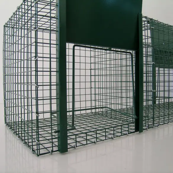 Entrance of magpie and corvid trap