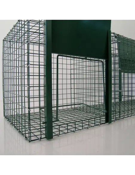 Entrance of magpie and corvid trap