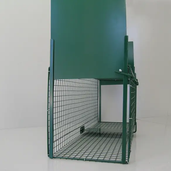 Entrance of rodent trap