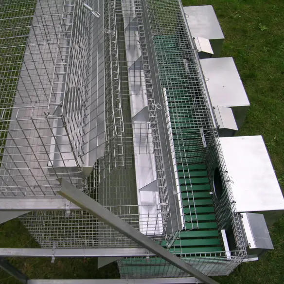 Breeding section with feeder and drinker