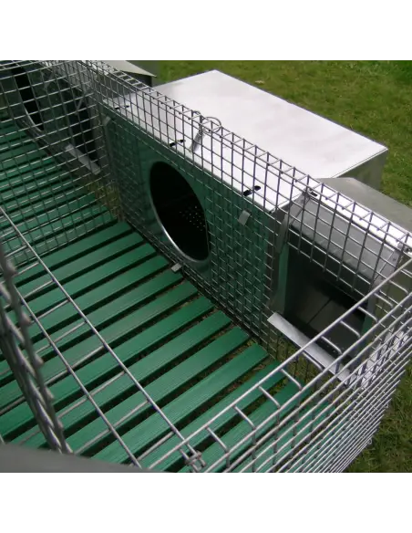 Interior detail of rabbit cage with accessories Interior detail of rabbit cage with accessories