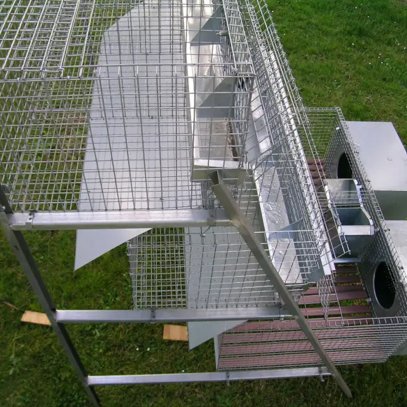Fattening compartments of rabbit cage