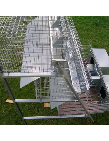 Fattening compartments of rabbit cage