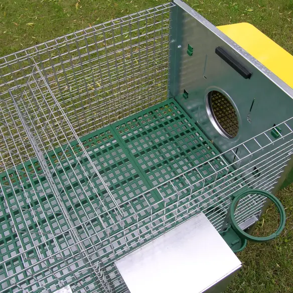 Interior of 2-rabbit hutch