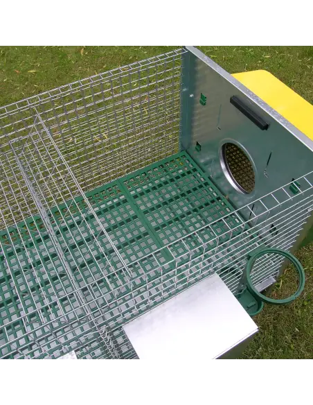 Interior of 2-rabbit hutch