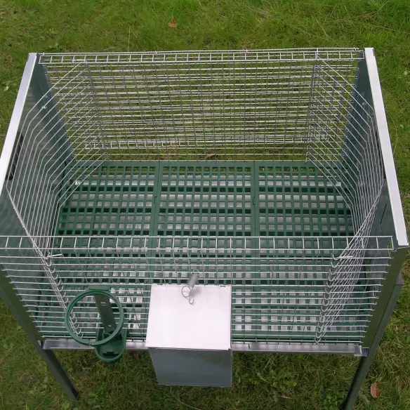 Interior of single rabbit cage