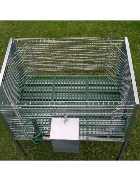 Interior of single rabbit cage