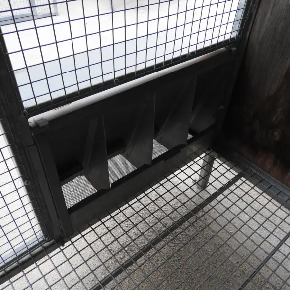 Feeder with dust filter for pigeons