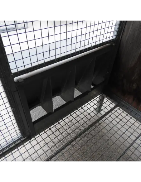 Feeder with dust filter for pigeons