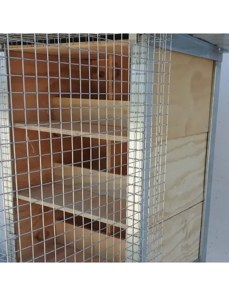 Wooden nests for shipping dovecote