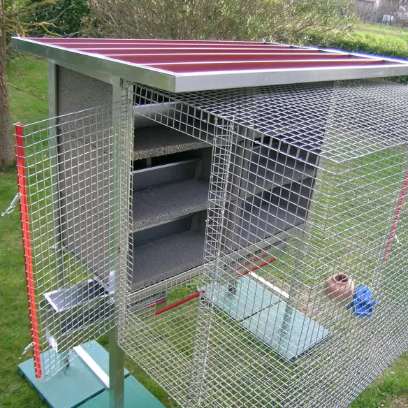 Interno della colombaia per 6 coppie con nidi in legno