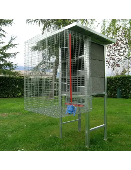 Pigeon coop for 3 pairs with accessories