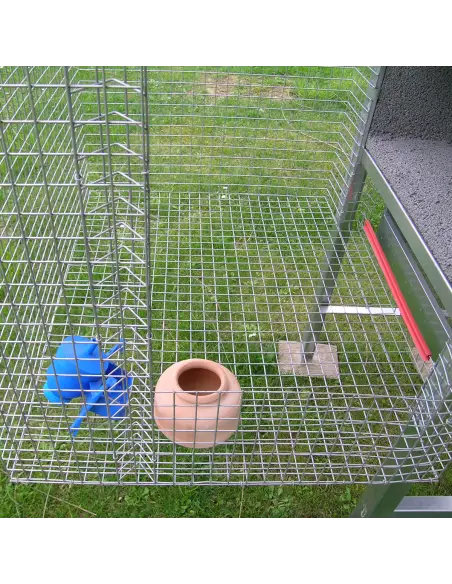 Sportello di accesso alla colombaia per 3 coppie