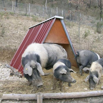 Animals shelter for sheep pigs goats for outdoor use