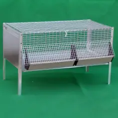 Chick cage | Ferranti