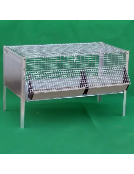 Chick cage | Ferranti