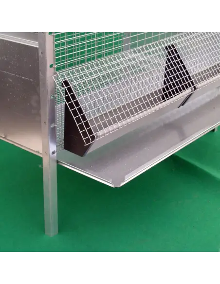 Chick cage | Ferranti