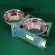Dog Bowls with Stand and Double Swivel Bowls